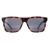 Superdrug Lacoste L972S Brown Men Sunglasses- Buy online at McGrocer