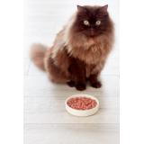 Freshpet Grilled Chicken Cat Food 400g - British product
