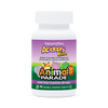 NaturesPlus AcidophiKidz chewable probiotics 90 tablets (British brand)
