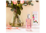 Yardley London Fragrant Rose Eau de Toilette 50ml (British brand)