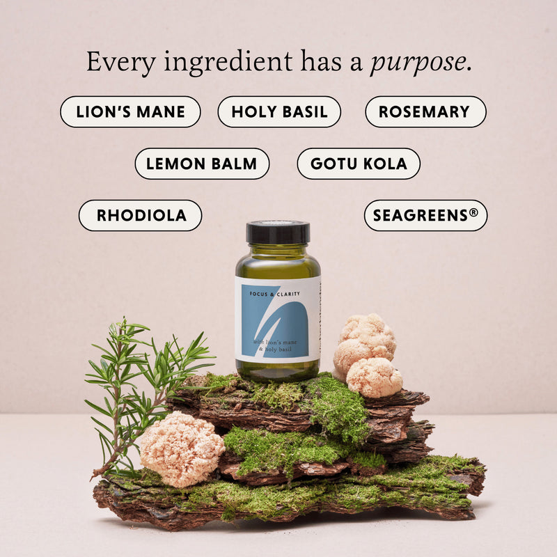 The Herbtender Focus Clarity supplement 60 vegan capsules - British product