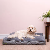 Costco UK bECOsy Medium Orthopaedic Pet Bed Grey 91x58x10cm- Buy online at McGrocer