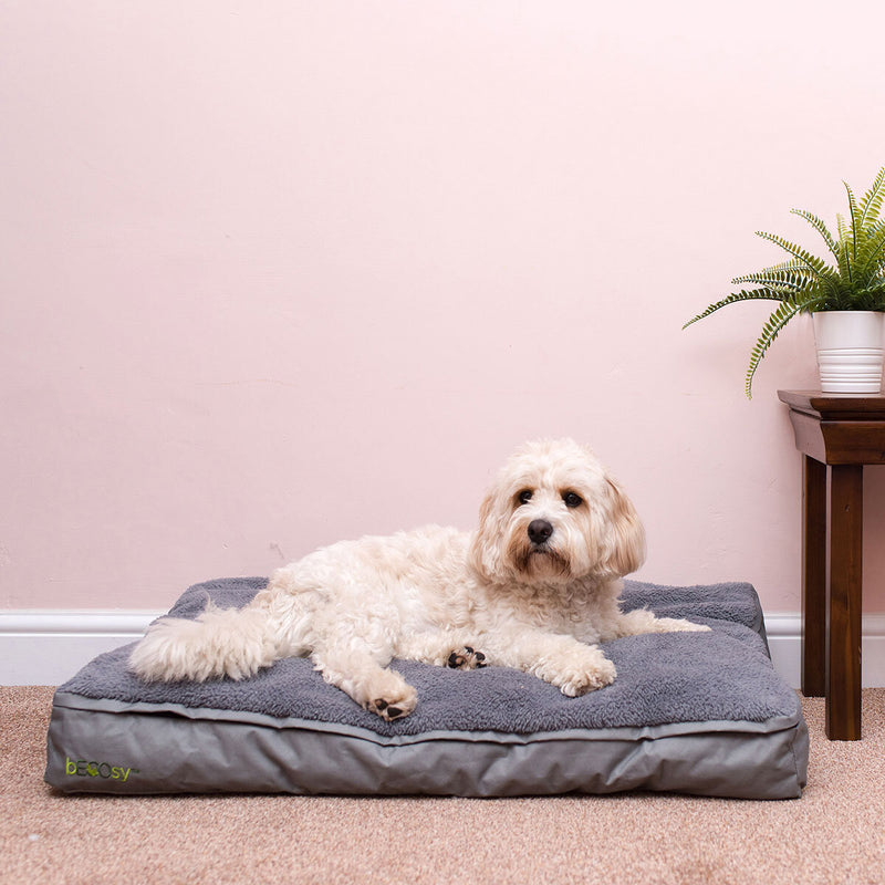 bECOsy medium orthopaedic pet bed with natural latex - British product