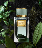 Dolce&Gabbana Velvet Infusion eau de parfum 100ml (British brand)