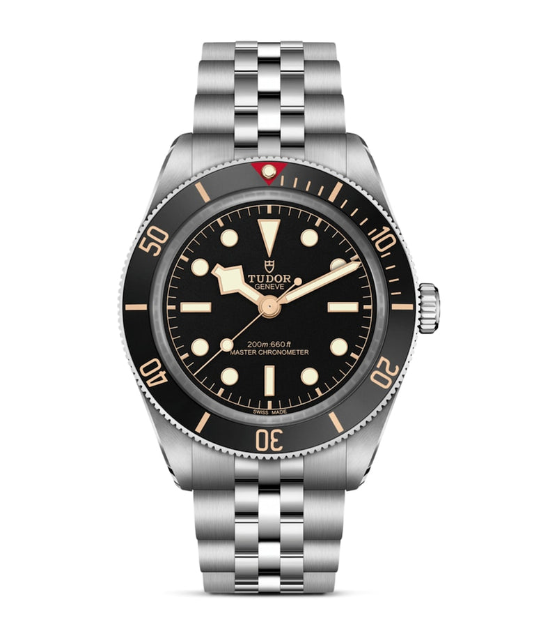 TUDOR Black Bay 58 GMT stainless steel watch 39mm (British brand)