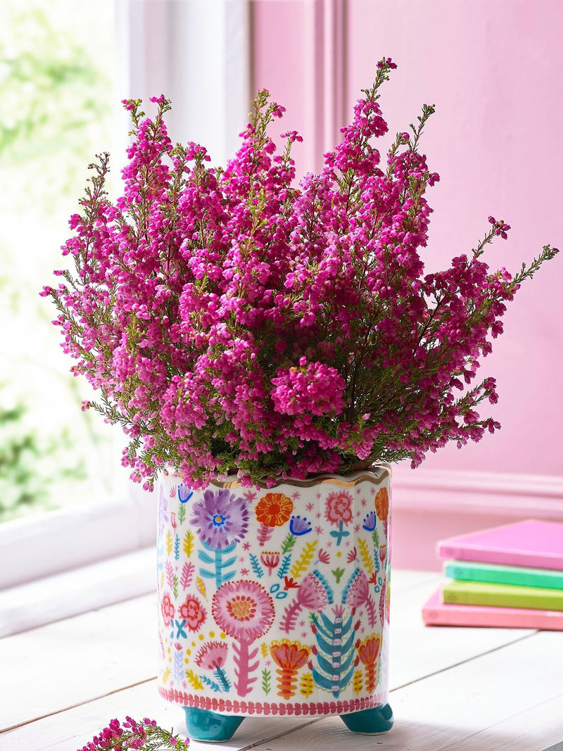 Lucy Tiffney multi floral footed plant pot 14cm, UK version
