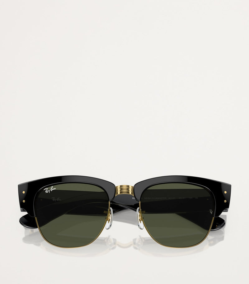 Ray-Ban Propionate sunglasses 0RB0316S - British product