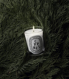 Diptyque Cypres scented candle 190g, imported from the UK