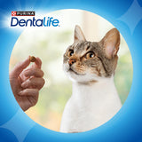 Purina Dentalife salmon cat treats 40g (British brand)