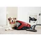 Miele Blizzard CX1 pet vacuum cleaner 2.0L, imported from the UK