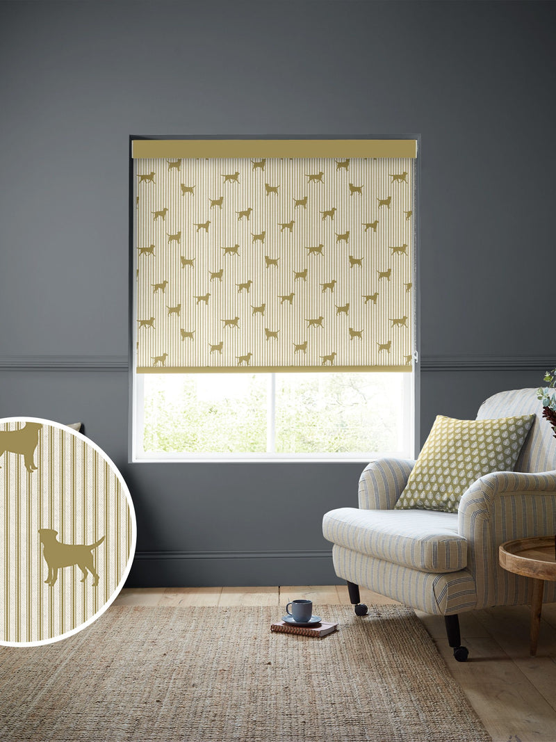 Emily Bond roller blinds Gold Marley Labrador print, imported from the UK
