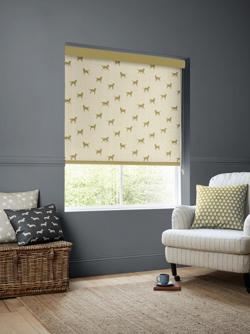 Emily Bond roller blinds Gold Marley Labrador print, imported from the UK