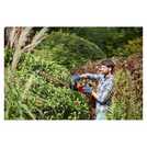 Black + Decker corded hedge trimmer 60cm - British product