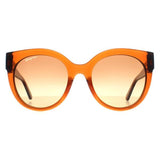 Superdrug Salvatore Ferragamo SF1031S Brown Gradient Women Sunglasses- Buy online at McGrocer