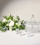 Waterford Crystal Mastercraft vodka set, 12 shot glasses and chiller (British brand)