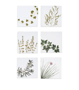 Harrods Summerill & Bishop Set of 6 Linen Gastronomic Herb Garden Napkins 50cm x 50cm- Buy online at McGrocer
