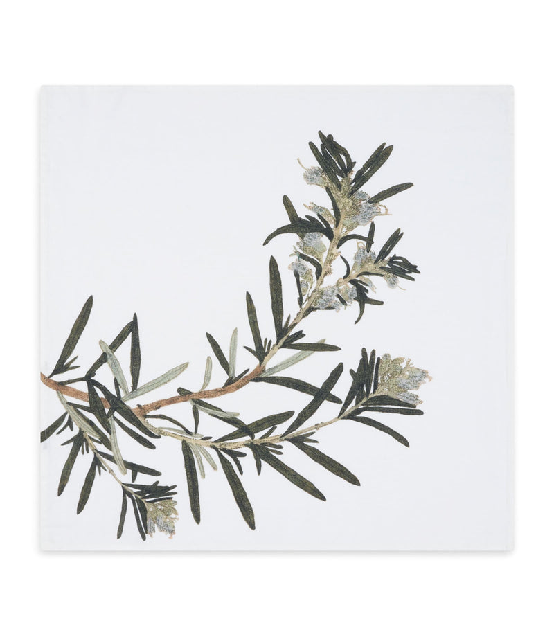 Summerill & Bishop gastronomic herb garden linen napkins 50cm x 50cm (British brand)