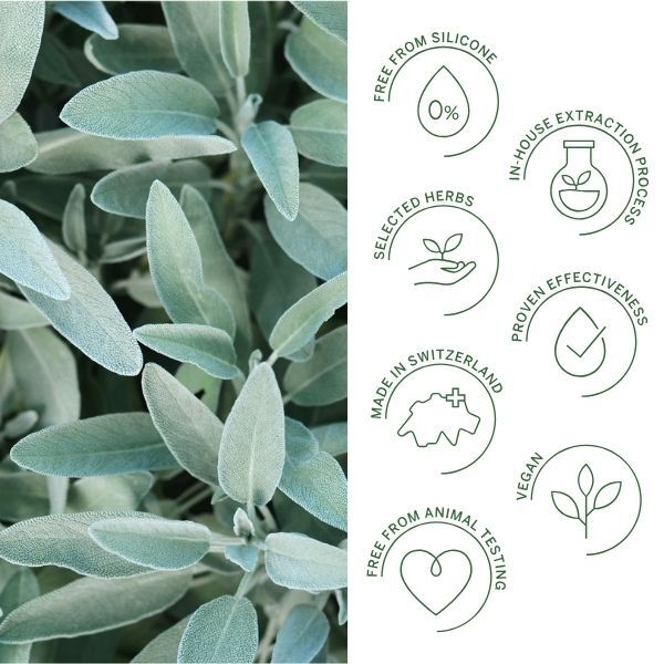 Rausch Conditioner Silver-Shine Sage 150ml, imported from the UK