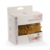 Holland & Barrett Hydréa London Honeycomb Natural Sea Sponge - 5.5 - 6 Inches- Buy online at McGrocer