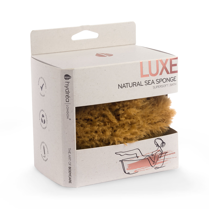 Hydréa London natural sea sponge honeycomb 5.5-6 inches - British product