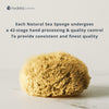 Hydréa London natural sea sponge honeycomb 5.5-6 inches - British product