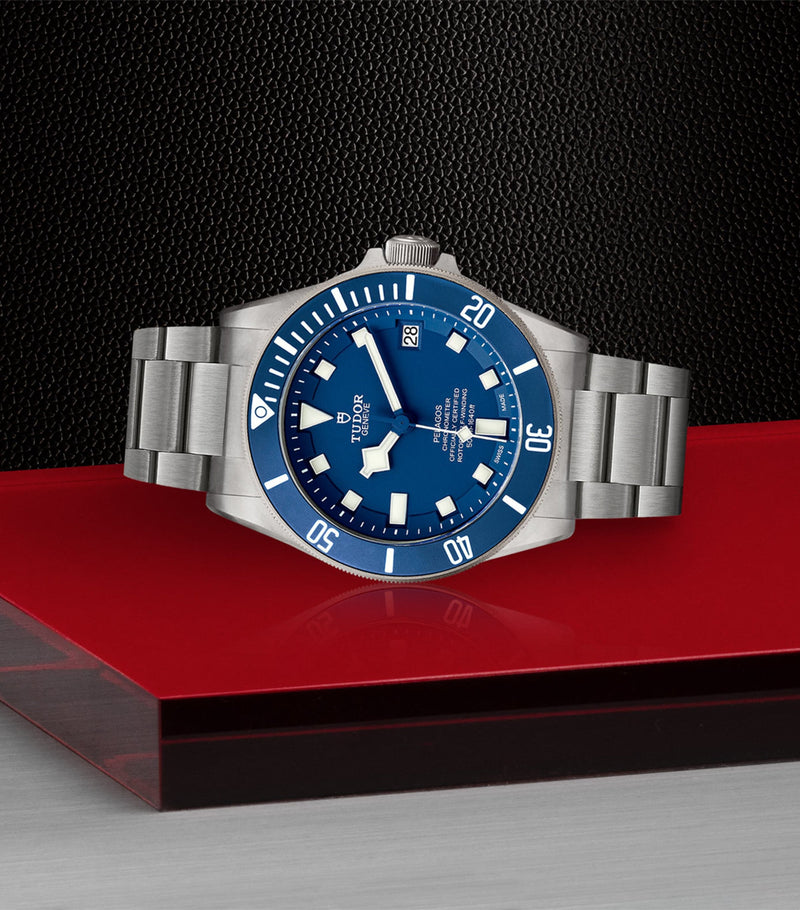 TUDOR Pelagos titanium steel watch 42mm (British brand)