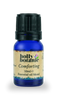 Holly Botanic Comforting essential oil blend 10ml, imported from the UK