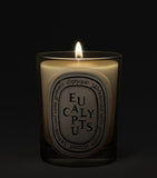 Diptyque eucalyptus candle 190g, imported from the UK