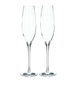 Harrods Waterford Set of 2 Elegance Optic Champagne Flutes (300ml)- Buy online at McGrocer