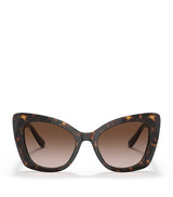Harrods Dolce&Gabbana Acetate Butterfly Sunglasses- Buy online at McGrocer