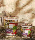 Baobab Collection Provence scented candle 6kg (British brand)