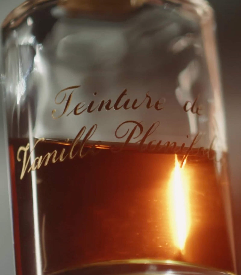 Guerlain Vanille Planifolia Extrait 21 perfume 50ml, imported from the UK