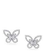 Harrods Graff Butterfly Diamond Stud Earrings in 18kt White Gold 1.3cm- Buy online at McGrocer