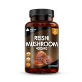 Holland & Barrett New Leaf Products Reishi Mushroom Capsules 120 capsules- Buy online at McGrocer