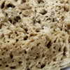 SpongeBox natural sea sponge 6-6.5 inches imported from the UK