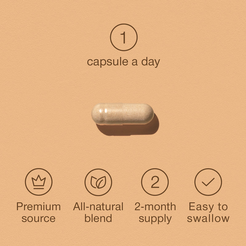 SuperSelf Panax Ginseng Ginkgo Biloba capsules 60 count, imported from the UK