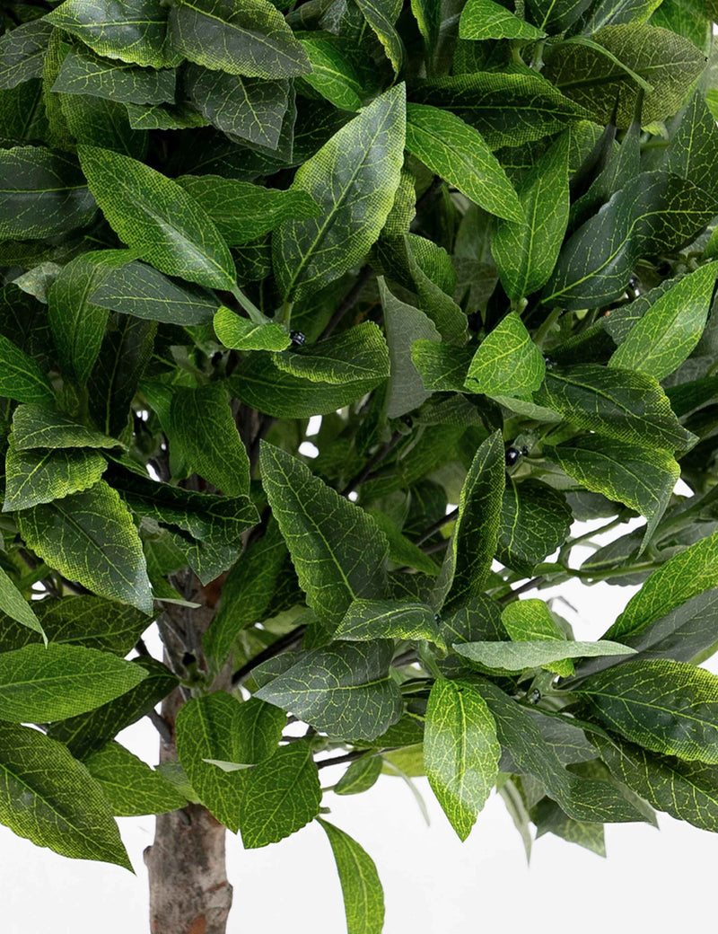 Blooma set of 2 artificial bay trees 70cm - British product
