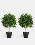 2.5ft Set of 2 Artificial Bay Bush Ball Trees