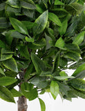 Blooma set of 2 artificial bay trees 70cm - British product