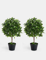 M&S Blooma Set of 2 Artificial Bay Bush Ball Trees- Buy online at McGrocer