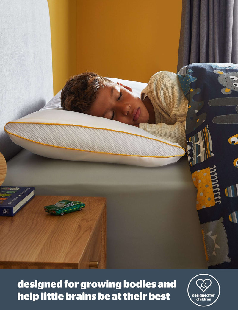 Silentnight 2 pack anti allergy pillows, UK version