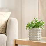 Sainsburys Habitat Stoneware Bobble Planter Medium Indoor Decorator 13.5cm- Buy online at McGrocer