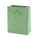 Sainsburys Sainsbury's Home Green Plain Colour Large Gift Bag 33x27x13.5cm- Buy online at McGrocer