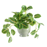 Sainbury's faux trailing leaf plant in grey ceramic pot, UK version