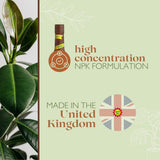 Baby Bio original houseplant food 175ml, imported from the UK