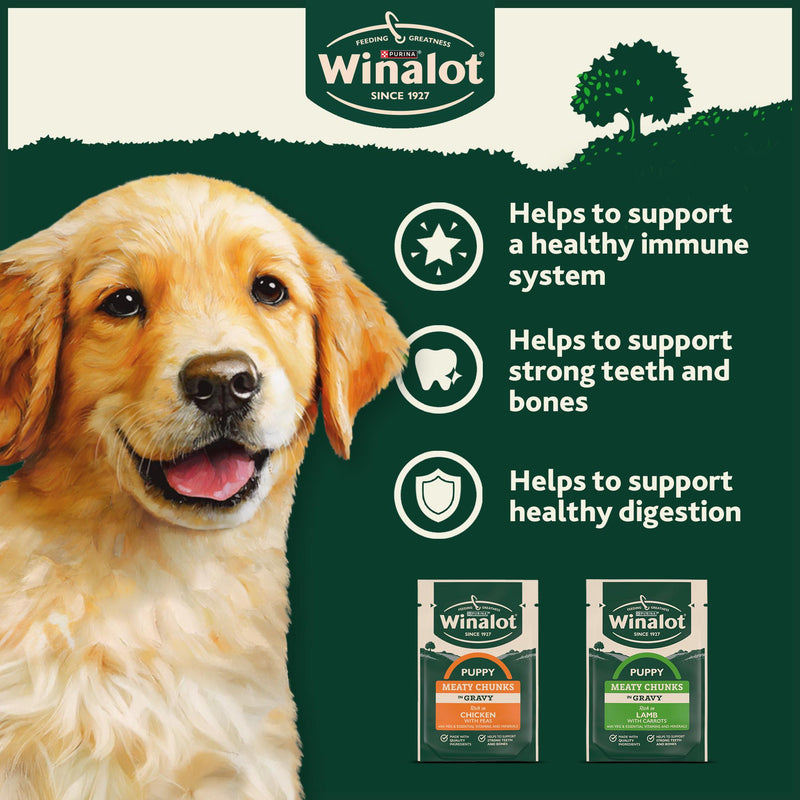 Winalot puppy Meaty Chunks Gravy 12x100g, imported from the UK