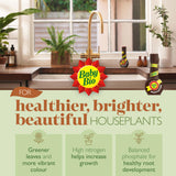 Baby Bio original houseplant food 175ml, imported from the UK