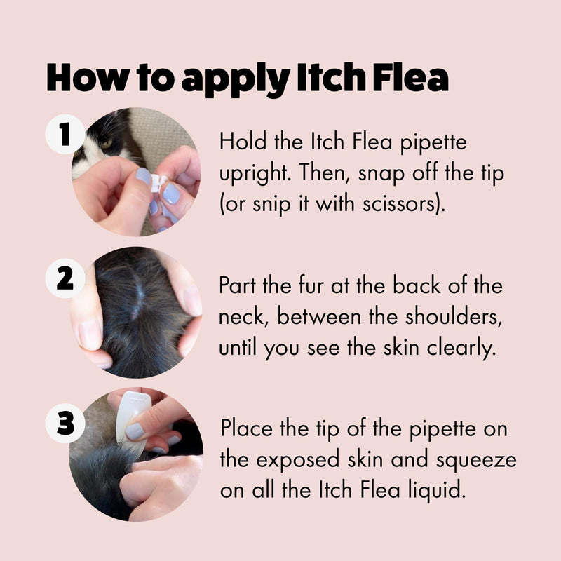 Itch Flea spot on treatment for cats 1 pipette - British product