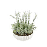 Garden XP artificial lavender bowl 32cm (British brand)