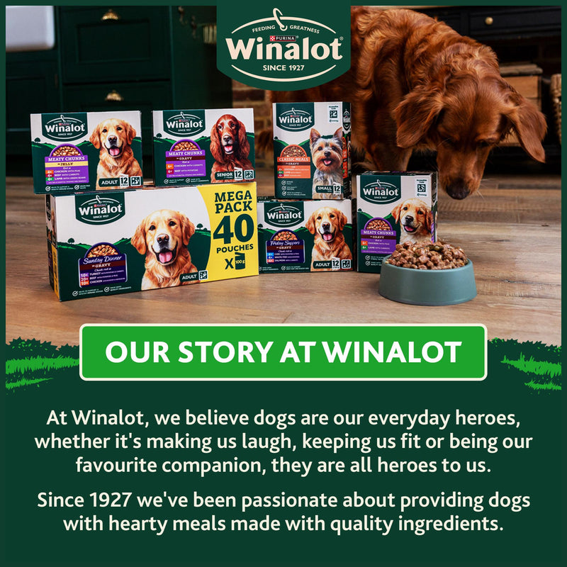 Winalot Meaty Chunks Mixed in Jelly wet dog food 12x100g, UK version